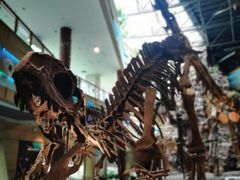 -安徽省地质博物馆