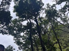 -黔灵山公园