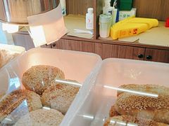 -小潘记鸭血粉丝汤