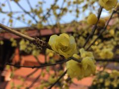 -杭州西湖风景名胜区-钱祠表忠