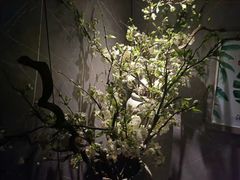 -仟汇足道·SPA(秀洲总店)