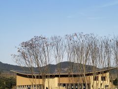 -浙江农林大学(东湖校区)