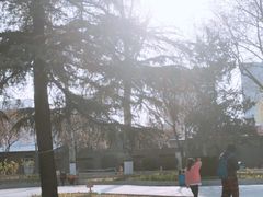 -黄村公园