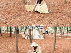 -WhaleSports户外水上运动俱乐部(朝阳公园店)