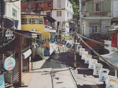 -猫咪博物馆(顶澳仔猫街店)