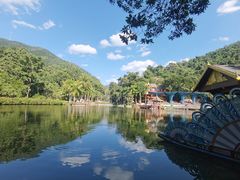 -西双版纳原始森林公园