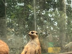 -北戴河集发农业梦想王国