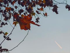 -杭州西湖风景名胜区-满觉陇四眼井