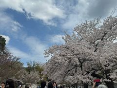 -醍醐寺