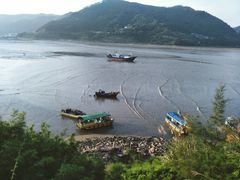 -北岐滩涂