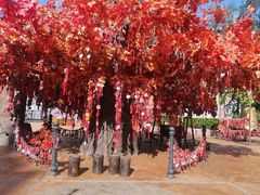 -郑州方特梦幻王国