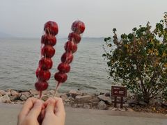 -深圳湾公园(南山区)