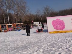 -朝阳公园游乐园