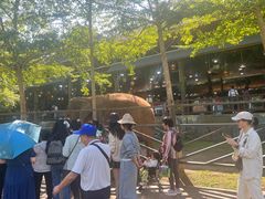 -野象谷景区