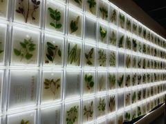 -广东中医药博物馆