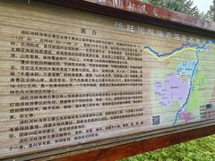 -汤旺河林海奇石景区