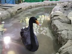 -海合安武汉极地海洋公园