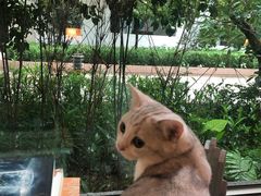 -咖法森林·咖啡  酒吧(天河店)