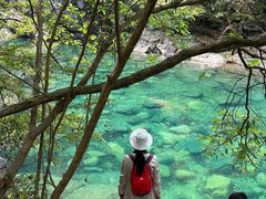 -石台牯牛降景区