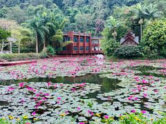 -西双版纳傣族园