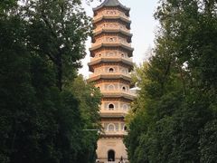 -灵谷景区