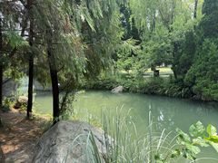 -了凡国风主题茶馆·咖啡(武侯祠锦里店)