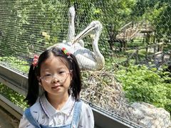 -石家庄市动物园