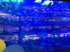 -成都浩海立方海洋公园