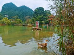 -靖西鹅泉风景区