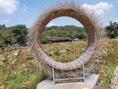 -红山村