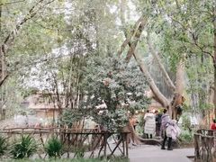 -成都杜甫草堂博物馆