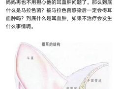 -瑞派申生动物医院·24H夜诊·国际动物医疗中心·骨外科(吴中路店)