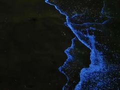 -西涌国际滨海旅游区