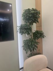 -卡尔诗·科技美肤连锁