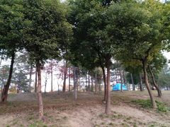 -美兰湖景区