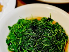 -老瑞福上海菜(人民广场店)