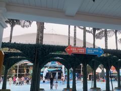 -海合安成都极地海洋公园