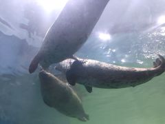 -青岛海底世界-水族馆