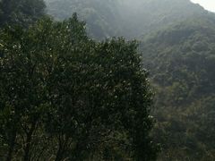 -会稽山峡洞漂流-上青古道