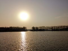 -大兴滨河森林公园