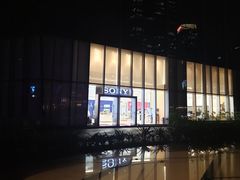 -Sony Store索尼(广州正佳店)