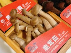 -樾餐厅泰式海鲜火锅(民歌湖店)