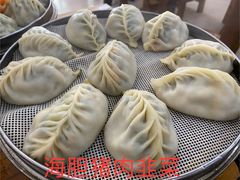 -小叶大馅饺子城
