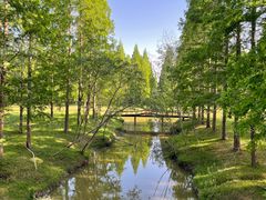 -黄海国家森林公园