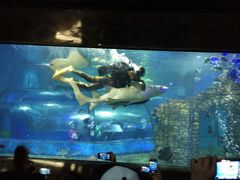 -苏州海洋馆