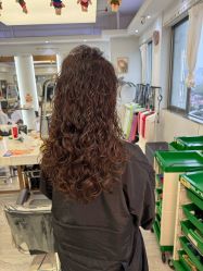 -镁连社·美联社