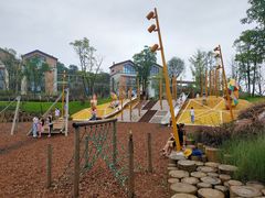 -铁山坪森林公园