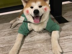 -百好乐宠物友好餐厅(朝外大街店)