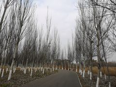 -东郊湿地公园