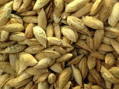 iphone_upload_pic-维吾尔餐厅(宜山路店)